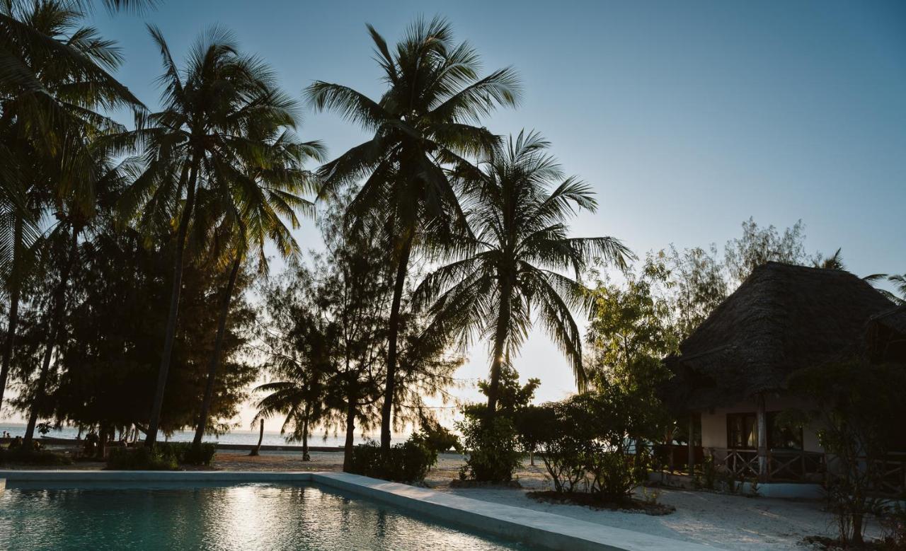 Hotel Joy Of Zanzibar Michamvi Esterno foto